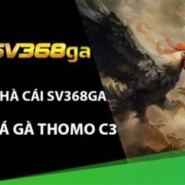đá gà thomo c3 12 1