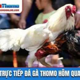 đa ga thomo c3 hom nay
