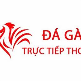 da ga thomo hom nai