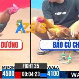 đá gà thomo trận 35 30 4