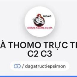 đá gà thomo trực tiếp c1 c3
