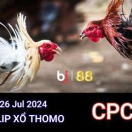 đá gà thomo trực tiếp ngày 26 tháng 7