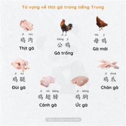 đá gà tiếng trung là gì