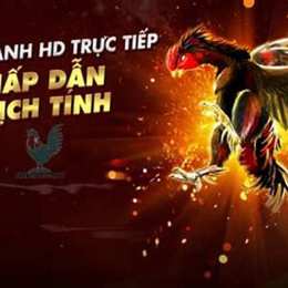 da ga trang truc tiep