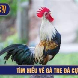 da ga tre cua sat 2013