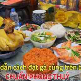 đá gà trên bàn tròn