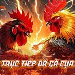da ga truc tiep 12 1 c3