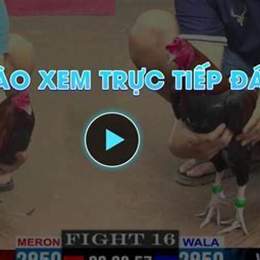 da ga truc tiep 30/5/2024