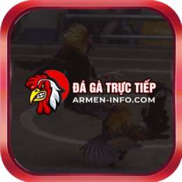 đá gà trực tiếp 88 hôm qua