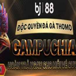 đá gà trực tiếp 88a com