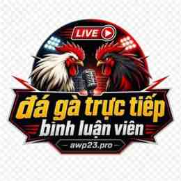 đa ga trực tiếp bình luận viên