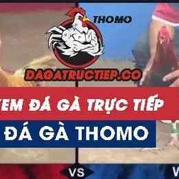 da ga truc tiep c3 8 9