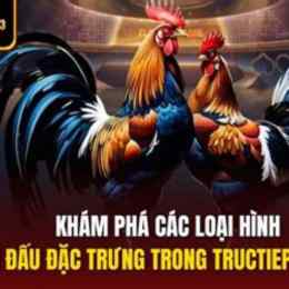 đá gà trực tiếp c3 trận 24