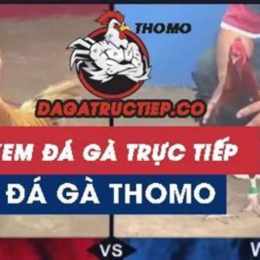 da ga truc tiep c3 tran 54