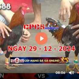 đá gà trực tiếp c5 campuchia