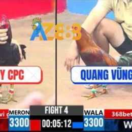 đá gà trực tiếp cpc3 trận 28