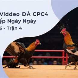 đá gà trực tiếp ngày 29 tháng 03