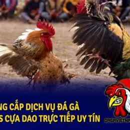 đá gà trực tiếp philippines và giao