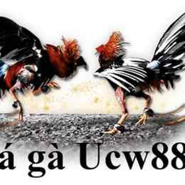 da ga ucw88 tre
