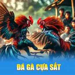 đá gà ug88