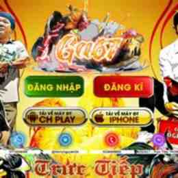 đá gà việt nam trực tiếp