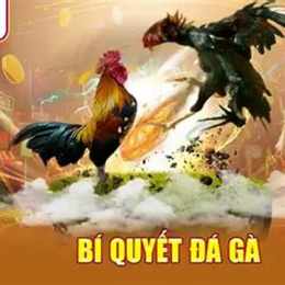 da ga vs388com