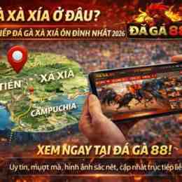 đá gà xà xía hôm qua