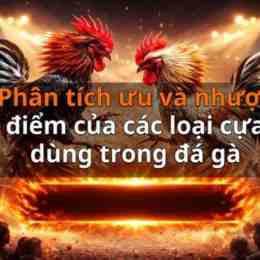 đá gà xom