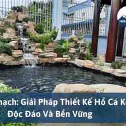 đá giải gà