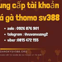 đăng ký đá gà thomo 999