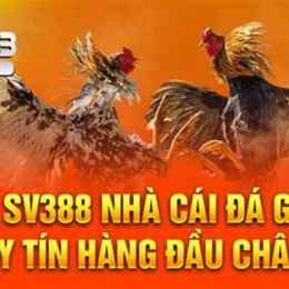 đăng ký trang đá gà trực tuyến