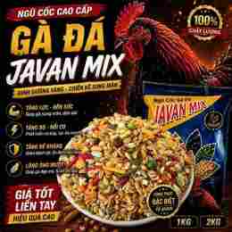 gà đá giải ngày 13 tháng 6
