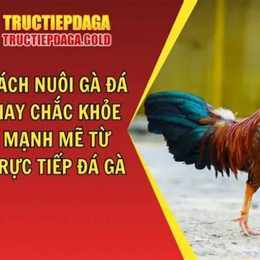 ga da hay dep