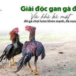 ga da moc bai
