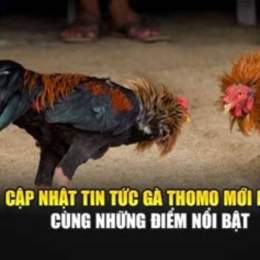 ga da thomo moi nhat