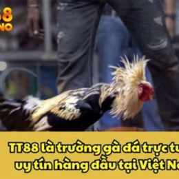 ga da truc tuyen