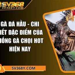 ga da tung co