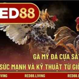 ga my da cua sat