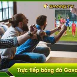 gà vàng bóng đá trực tiếp hôm nay