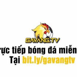 ga vang tv truc tiep bong da hom nay