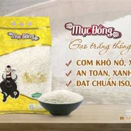 gạo trắng hạt dài việt nam