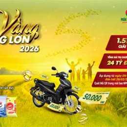 giá vàng 2026 vì sao giảm gần đây