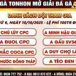 giải đá cúp gà việt