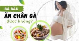 giao diện app bà bầu ăn da gà có sao không