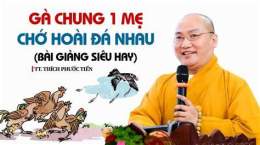giao diện app bài hát gà chung một mẹ chớ hoài đá nhau