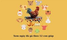 giao diện app bí kíp đá gà 12 con giáp