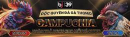 giao diện app bj39 đá gà thomo