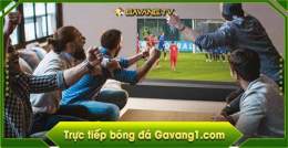 giao diện app bóng đá kênh gà vàng tv