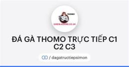 giao diện app c3 đá gà thomo