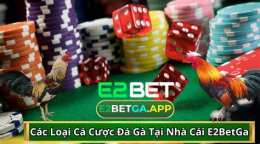 giao diện app ca cuoc da ga